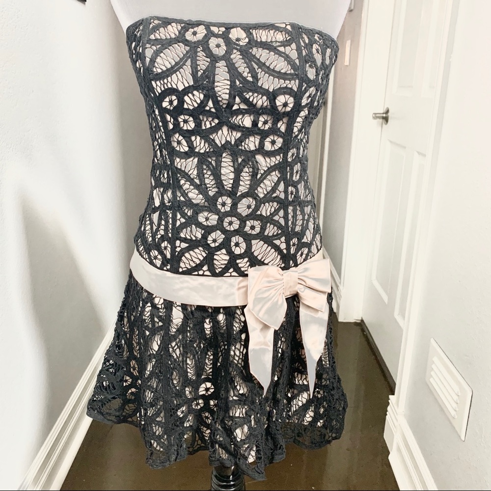 Betsy Johnson Lacy Drop Waist Strapless Dress